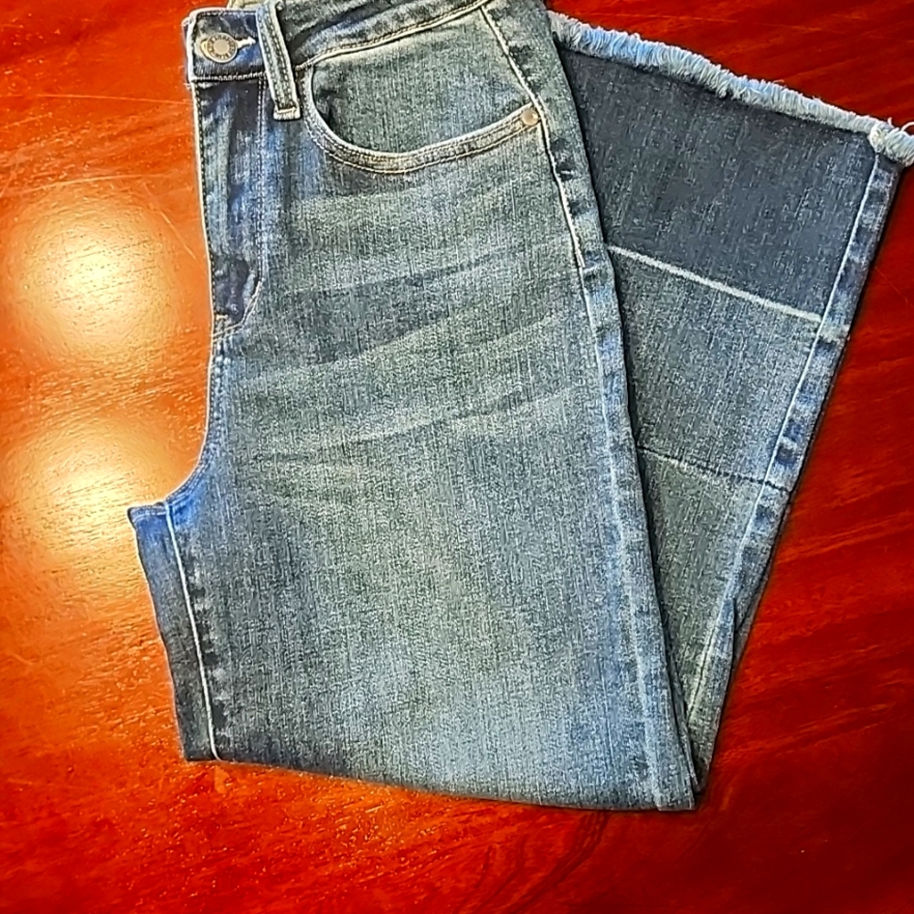 Judy Blue Capri Jeans